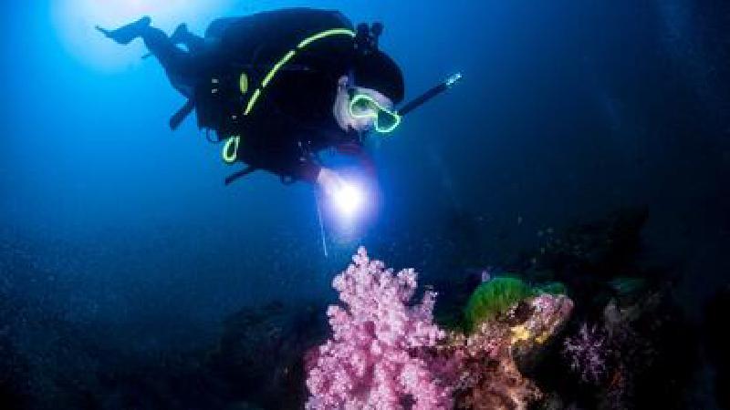 Imagen principal del artículo 'Iluminación bajo el agua, mira estas linternas sumergibles, ¿Cuál comprar?'