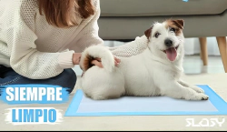 Imagen principal del artículo 'Las mejores almohadillas de entrenamiento desechables para perros: comparativa y análisis'