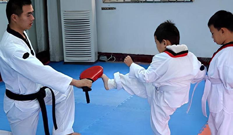 Imagen principal del artículo 'Las mejores almohadillas de patadas para entrenamiento de artes marciales'