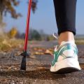 Las mejores alternativas en bastones de marcha Nordic Walking