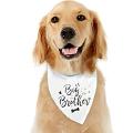 Las mejores bandanas para mascotas: pañuelos ajustables y estilosos para perros y gatos