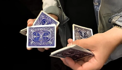 Imagen principal del artículo 'Las Mejores Barajas de Cartas de Juegos Estándar'