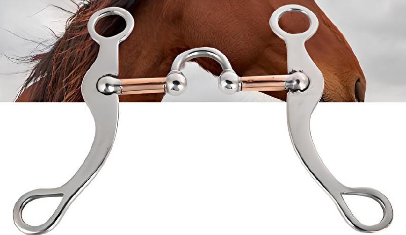 Imagen principal del artículo 'Las mejores brocas Pelham para caballos - Accesorios de alta calidad para equitación'