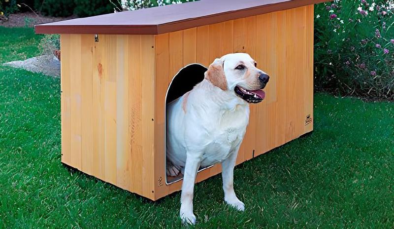 Imagen principal del artículo 'Las mejores casetas para perros al aire libre'