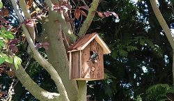 Imagen principal del artículo 'Las mejores casitas y comederos para pájaros'