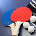 Las mejores fundas y mesas de ping pong para exterior e interior