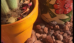 Imagen principal del artículo 'Las mejores gravas ornamentales para tu jardín: guía de compra'