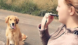 Imagen principal del artículo 'Las mejores herramientas para adiestrar perros'