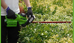 Imagen principal del artículo 'Las Mejores Herramientas para el Cuidado de Jardines: Cortasetos Eficientes y Duraderos'