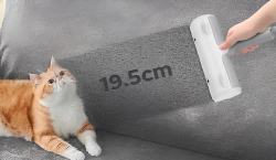 Imagen principal del artículo 'Las mejores herramientas para eliminar pelo de mascotas'