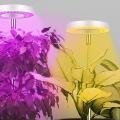 Las mejores lámparas de crecimiento para plantas: Iluminación saludable