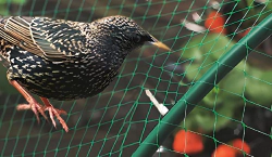 Imagen principal del artículo 'Las mejores mallas para jardín: red para atrapar pájaros, malla protectora para balcones y más'