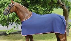 Imagen principal del artículo 'Las mejores mantas y sábanas para caballos: Guía de compra y análisis'