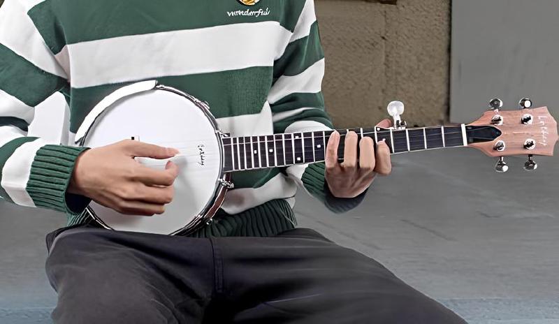 Imagen principal del artículo 'Las mejores opciones de banjo para principiantes y profesionales'