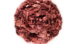 Imagen principal del artículo 'Las mejores opciones de comida congelada para perros: nutrición completa y natural'