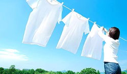 Imagen principal del artículo 'Las mejores opciones de detergentes en polvo para tu lavadora'