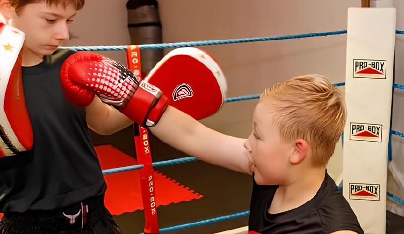 Imagen principal del artículo 'Las mejores opciones de guantes de combate para todos los niveles y edades'