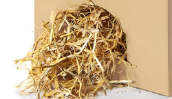 Imagen principal del artículo 'Las mejores opciones de heno y hierba para tu mascota'