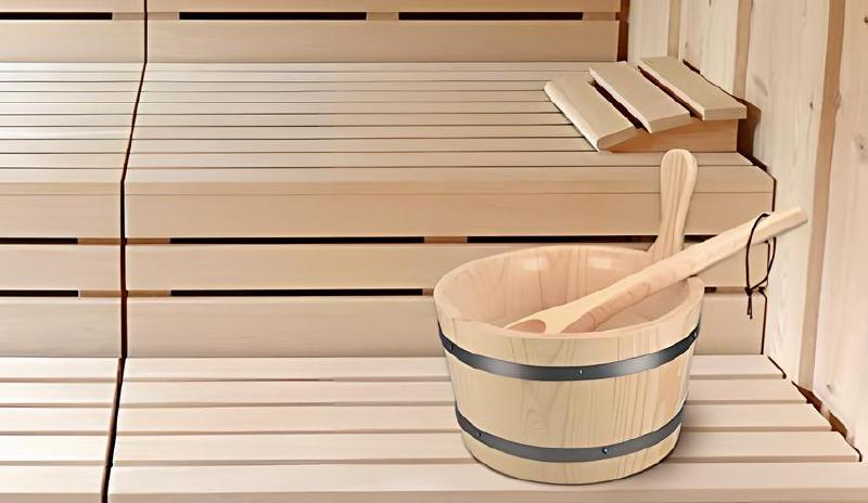 Imagen principal del artículo 'Las mejores opciones de kits para sauna: fabuloso para relajarse y cuidar de tu belleza'