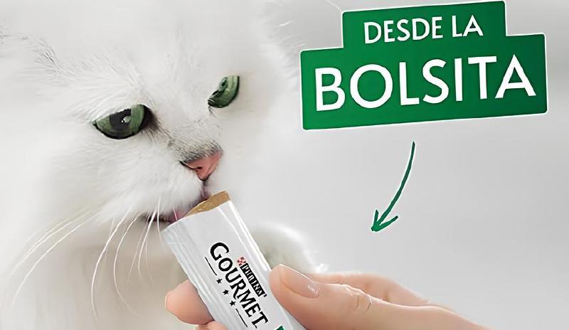 Imagen principal del artículo 'Las mejores opciones de pastas para consentir a tu gato'