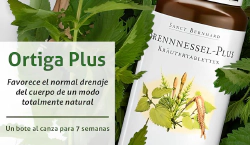 Imagen principal del artículo 'Las mejores opciones de remedios homeopáticos individuales'