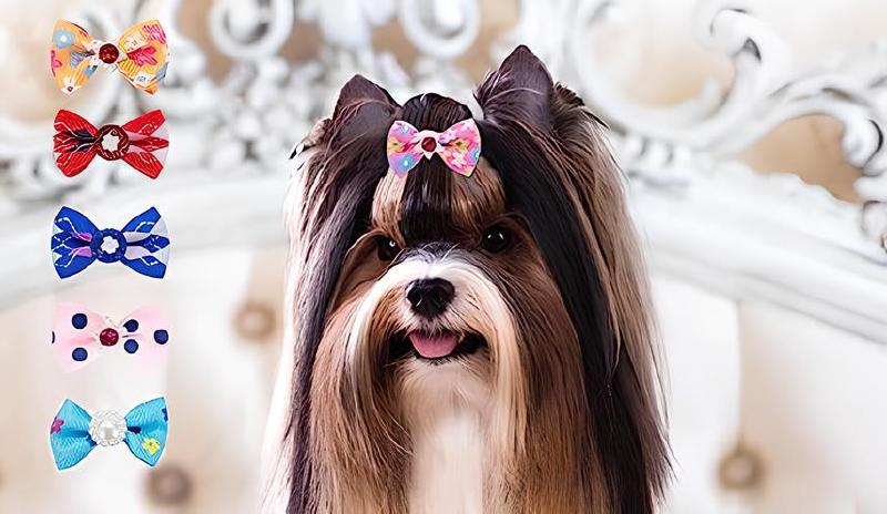 Imagen principal del artículo 'Las mejores opciones en accesorios para el pelo de mascotas'