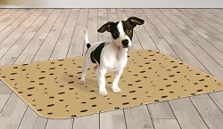 Imagen principal del artículo 'Las mejores opciones en almohadillas de entrenamiento reutilizables para perros'