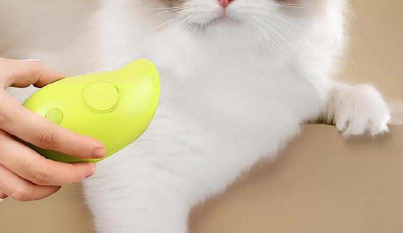 Imagen principal del artículo 'Las mejores opciones para cepillos de vapor para gatos'