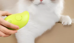 Imagen principal del artículo 'Las mejores opciones para cepillos de vapor para gatos'