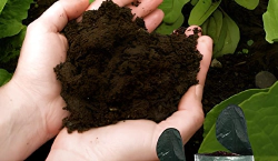 Imagen principal del artículo 'Las mejores opciones para compostadores en 2024'