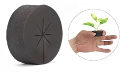 Imagen principal del artículo 'Las mejores opciones para kits de germinación'