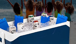 Imagen principal del artículo 'Las mejores opciones para mantener tus alimentos frescos: Pack de 4 acumuladores de frío y paquete frío reutilizable'
