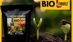 Imagen principal del artículo 'Las Mejores Opciones para Mejorar la Tierra de tus Plantas'