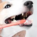 Las mejores pastas dentales enzimáticas para la higiene dental de mascotas