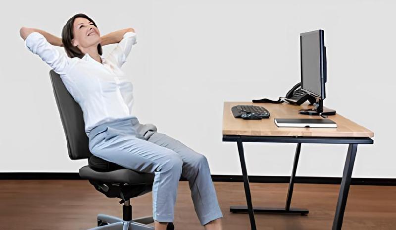 Imagen principal del artículo 'Las Mejores Soluciones para Comodidad y Salud con Cojines de Soporte Ergonómico'