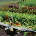 Las mejores soluciones para el Control de Aves y Plagas