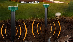 Imagen principal del artículo 'Las mejores soluciones para repeler plagas en casa y jardín'