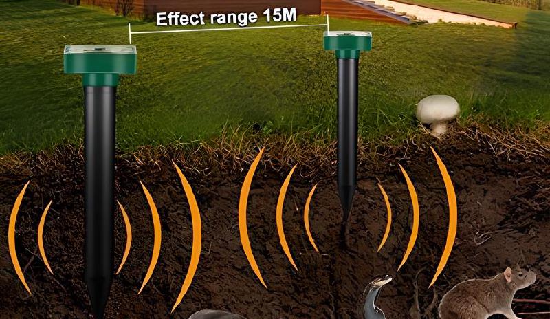 Imagen principal del artículo 'Las mejores soluciones para repeler plagas en casa y jardín'