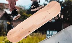 Imagen principal del artículo 'Las mejores tablas de skate y accesorios FYR8 8 Maple Skateboard Deck Protectors & Santa Cruz'