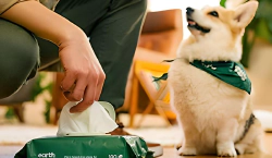 Imagen principal del artículo 'Las Mejores Toallitas Higiénicas para Mascotas: Limpieza Natural y Efectiva'