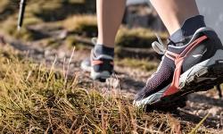 Imagen principal del artículo 'Las Mejores Zapatillas de Senderismo para Mujer: Guía de Compra'