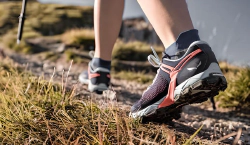 Imagen principal del artículo 'Las Mejores Zapatillas de Senderismo para Mujer: Guía de Compra'