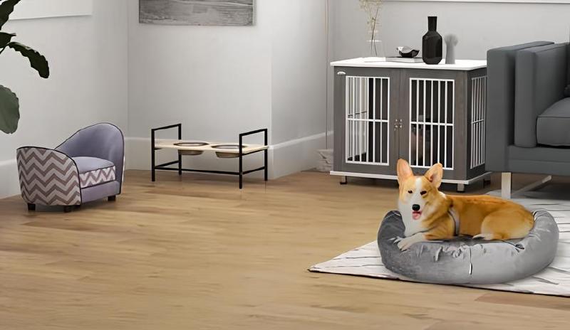 Imagen principal del artículo 'Los mejores muebles para tu mascota: sofás y sillas de calidad premium'