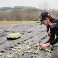 Los mejores nutrientes orgánicos para plantas: alta calidad y rendimiento