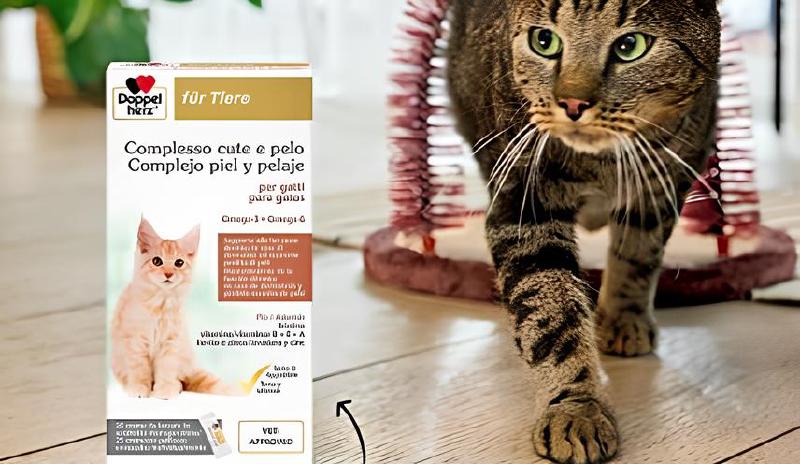 Imagen principal del artículo 'Los mejores productos para el cuidado de la piel y del pelaje de gatos'