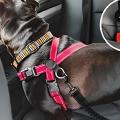 Los mejores arneses de perro para coche